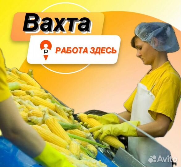 Оператор на линию производства вахта