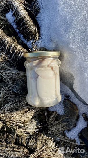 Печень трески и другие морепродукты Севера