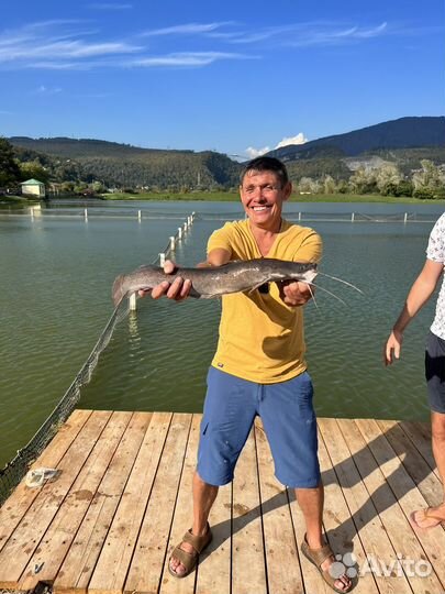 Индивидуальная рыбалка 4в1: море, река, озеро