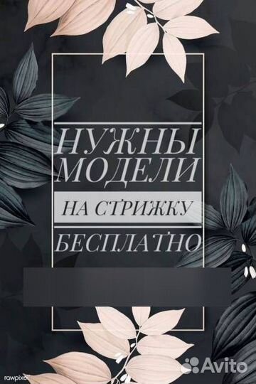 Мужская стрижка модель