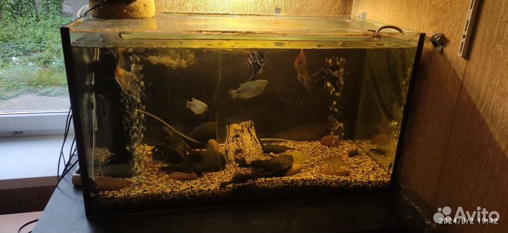 Аквариум с рыбками
