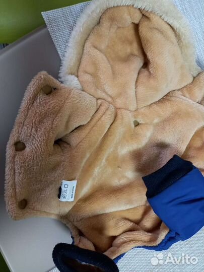 Одежда для маленькой собачки