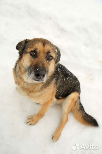 Не пролистывай меня