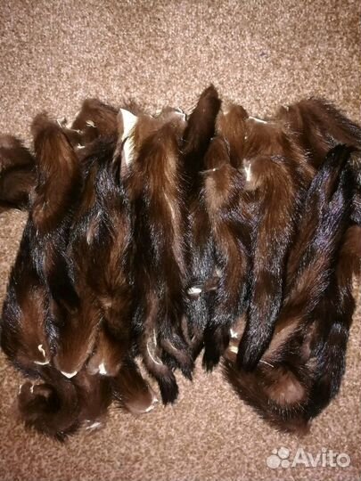 Хвосты норки