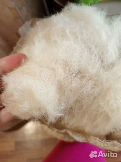 Шерсть овечья