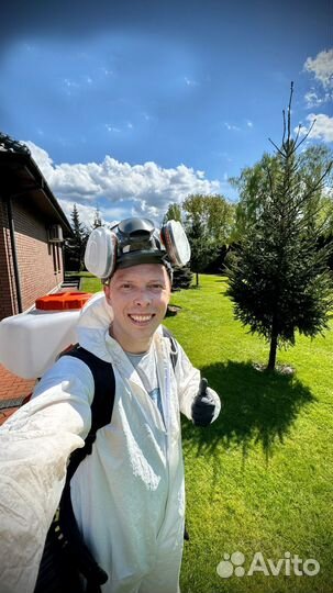 Уничтожение тараканов клопов дезинфекция