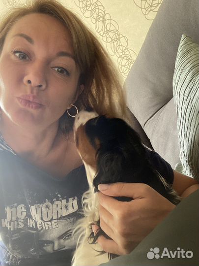 Передержка мелких собак с любовью