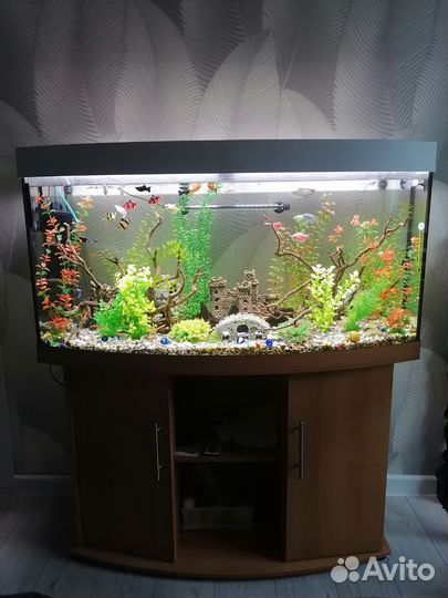 Продам аквариум на 250л
