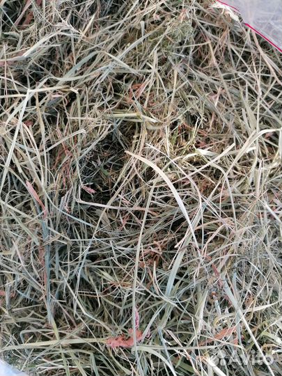 Сено луговое-только самовывоз