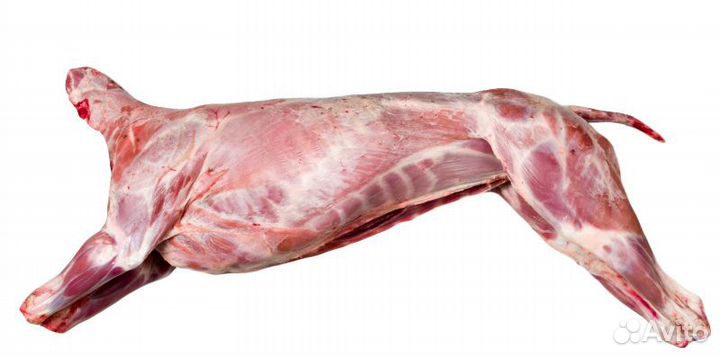 Мясо баранина свежая
