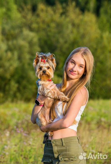 Фотограф (фотосессии вас и ваших питомцев)