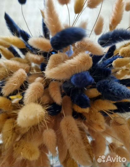 Букет сухоцветов, лагурус