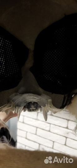 Фурри маска скалл дог