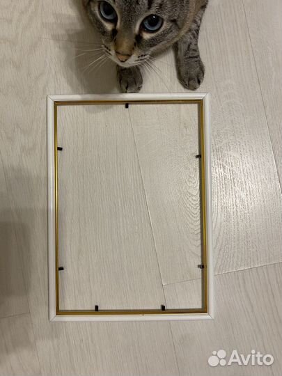 Рамка для фотографий a4