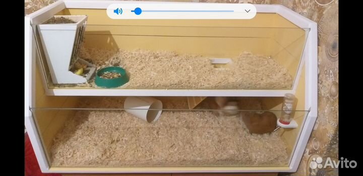 Домик для морских свинок, декоративных кроликов