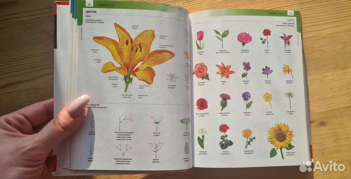 Визуальный словарь английский 13500 слов