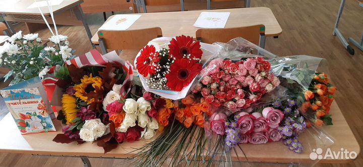 Репетитор начальных классов