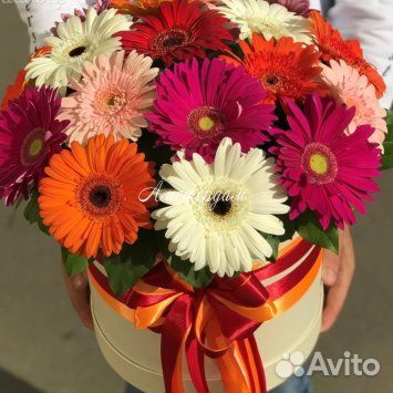 Букет из Гербер
