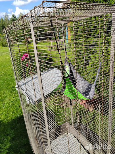 Клетка для шиншиллы, птиц