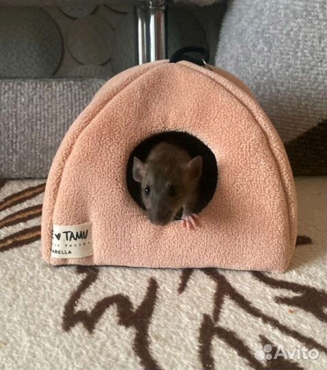 Домик для грызунов