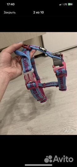 Шлейка truelove