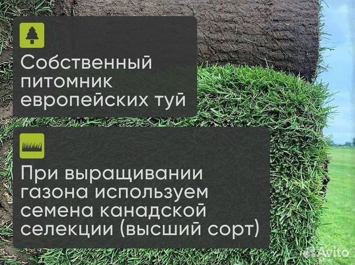 Газон в рулонах в наличии с быстрой доставкой