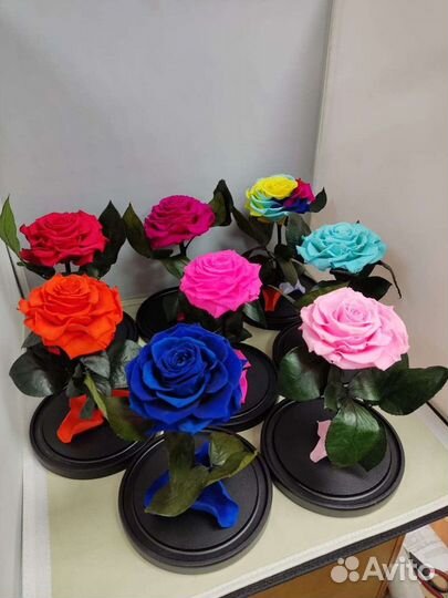 Роза в колбе оптом и в розницу