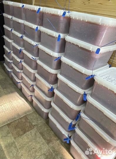 Красная икра кеты, улов 2023 года