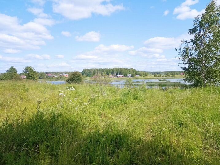 Участок 3,6 га (СНТ, ДНП)