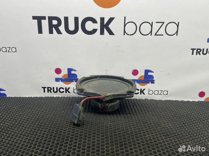 20382033 Динамик