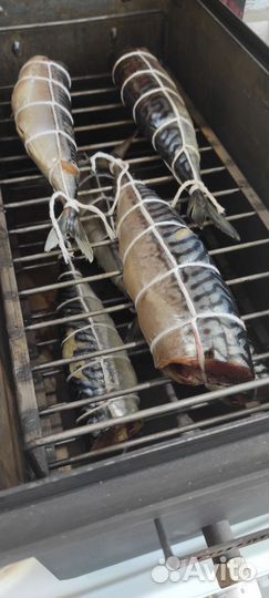 Коптильня горячего и холодного копчения