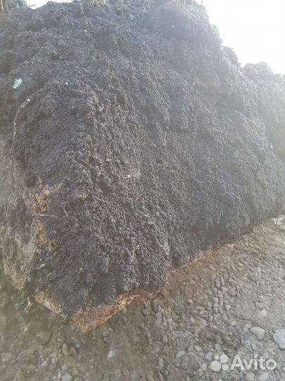 Перегной.Навоз коровий