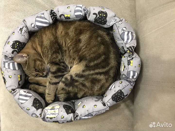 Лежанка для кошки новая