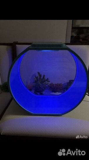 Аквариум немо дисней