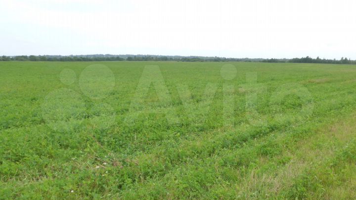 Участок 13 га (СНТ, ДНП)