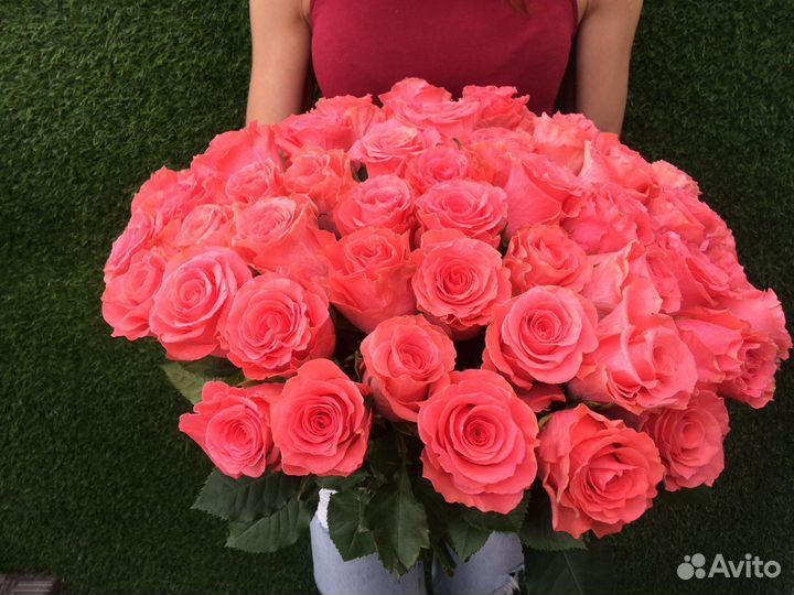 Букет 51 коралловая роза 40 см (Эквадор)