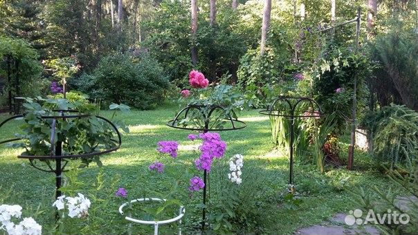 Опора для штамбовых роз