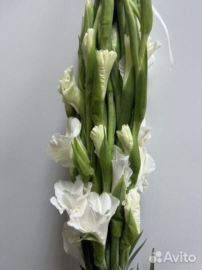 Цветы свежие оптом