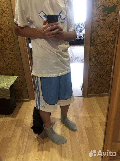 Баскетбольные шорты adidas