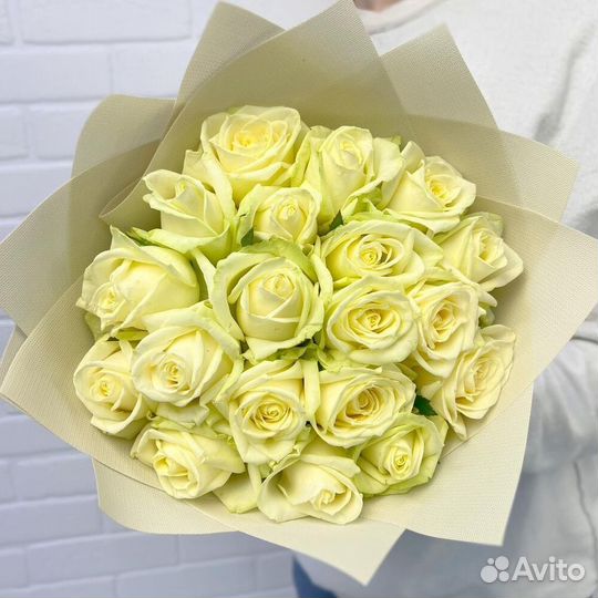 Розы букет 19 шт с доставкой