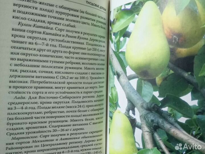 Энциклопедия садовода огородника