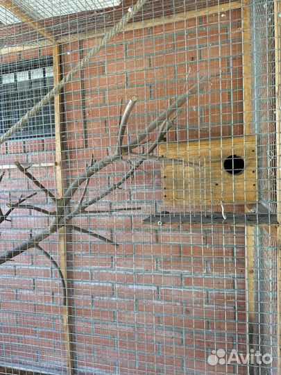 Клетка, Вольер для белок и птиц
