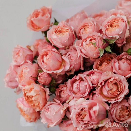 Пионовидные розы