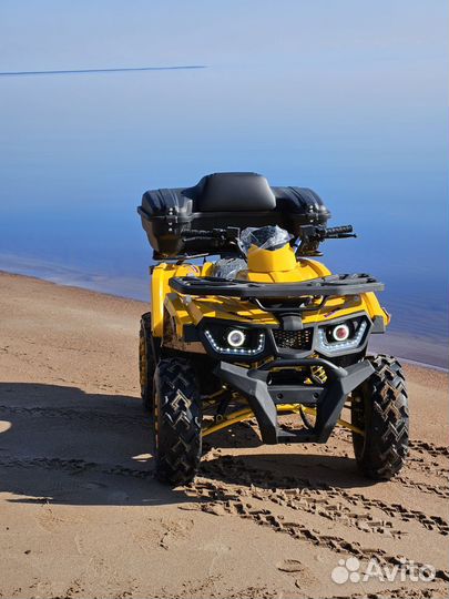 Аренда квадроцикла