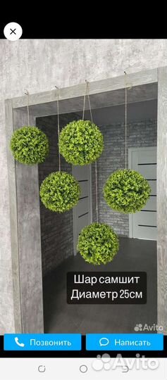 Самшитовое дерево