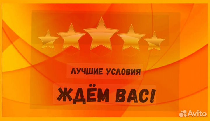 Наборщик заказов Без опыта Еженедельные выплаты