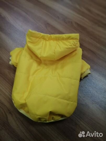 Одежда для собак мелких пород