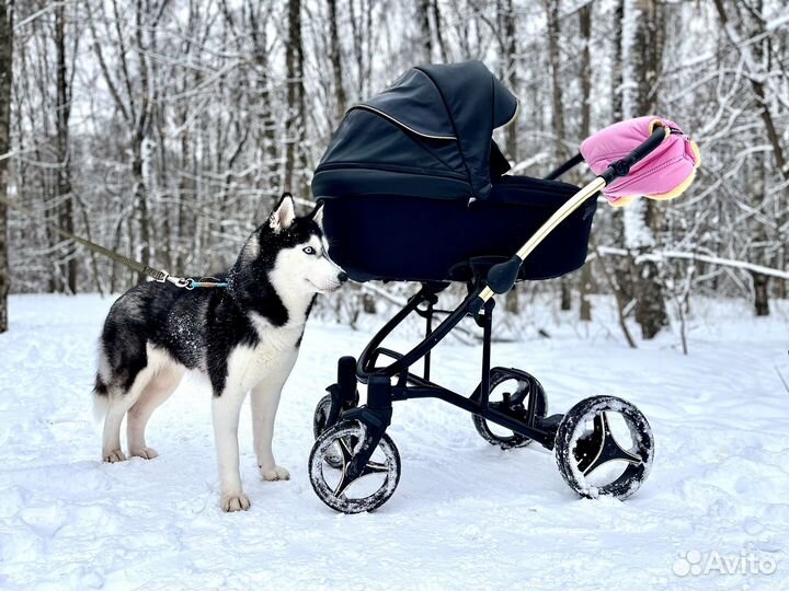 Коляска bebetto torino 2 в 1