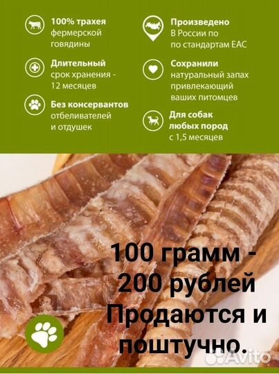 Для собак трахея