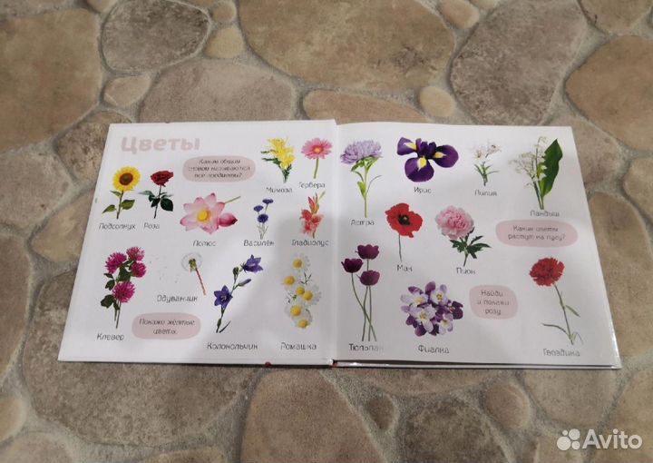 Детская книга clever фотокнига изучаем мир учебник